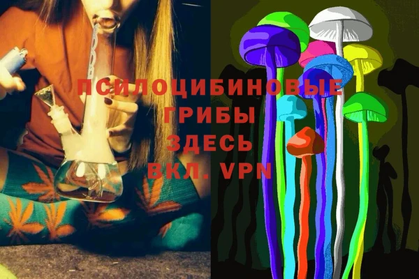ALPHA-PVP Верея