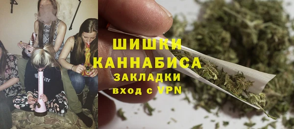 ПСИЛОЦИБИНОВЫЕ ГРИБЫ Верхнеуральск