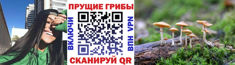 Псилоцибиновые грибы прущие грибы  Рубцовск 